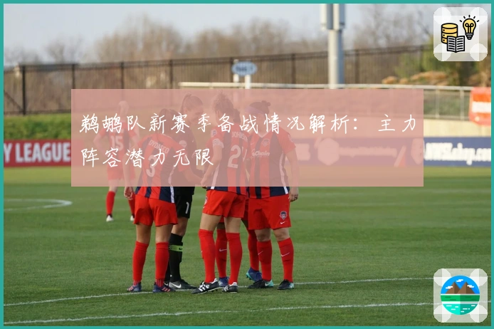 鹈鹕队新赛季备战情况解析：主力阵容潜力无限