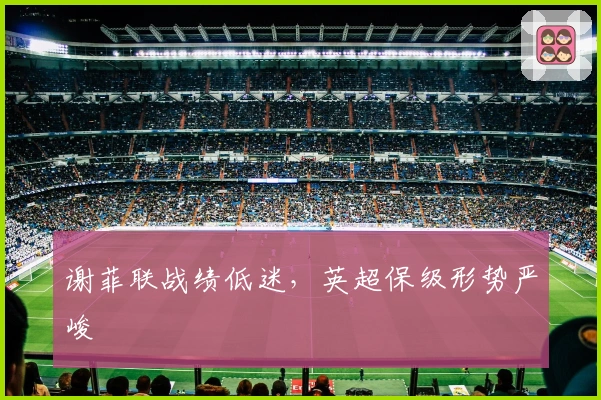 谢菲联战绩低迷，英超保级形势严峻