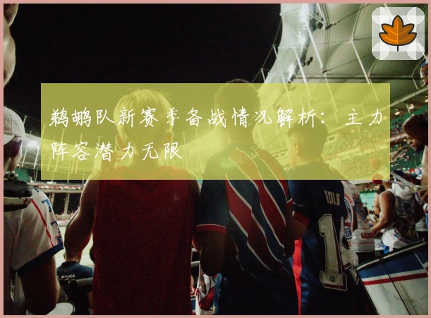 鹈鹕队新赛季备战情况解析：主力阵容潜力无限